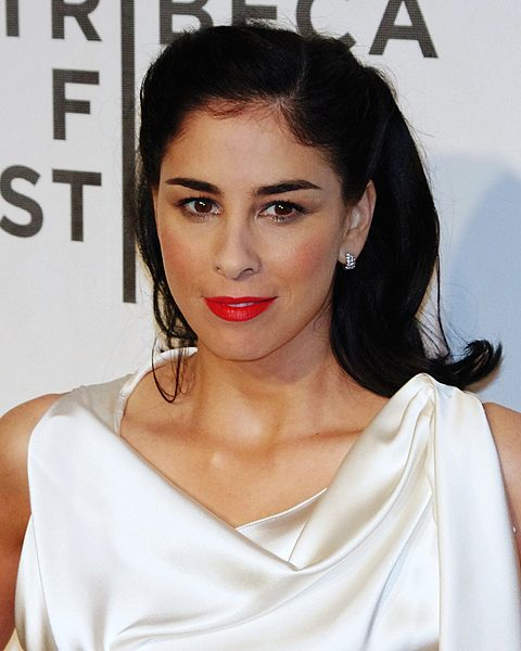 Sarah Silverman To Lose Copyright Suit Against Openai 